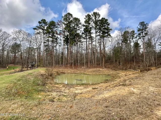 $1,750,000 | 0 Wade Road, West, MS 39192