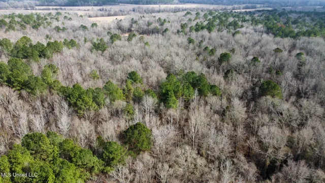 $1,750,000 | 0 Wade Road, West, MS 39192
