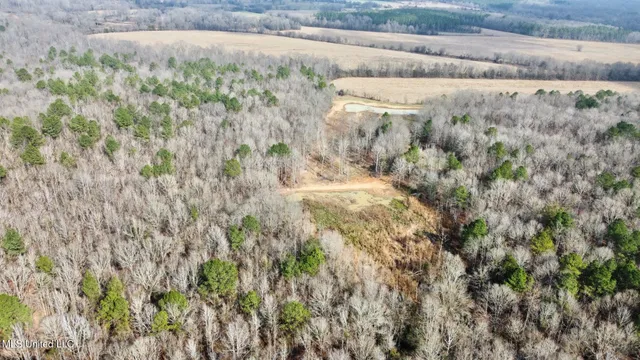 $1,750,000 | 0 Wade Road, West, MS 39192