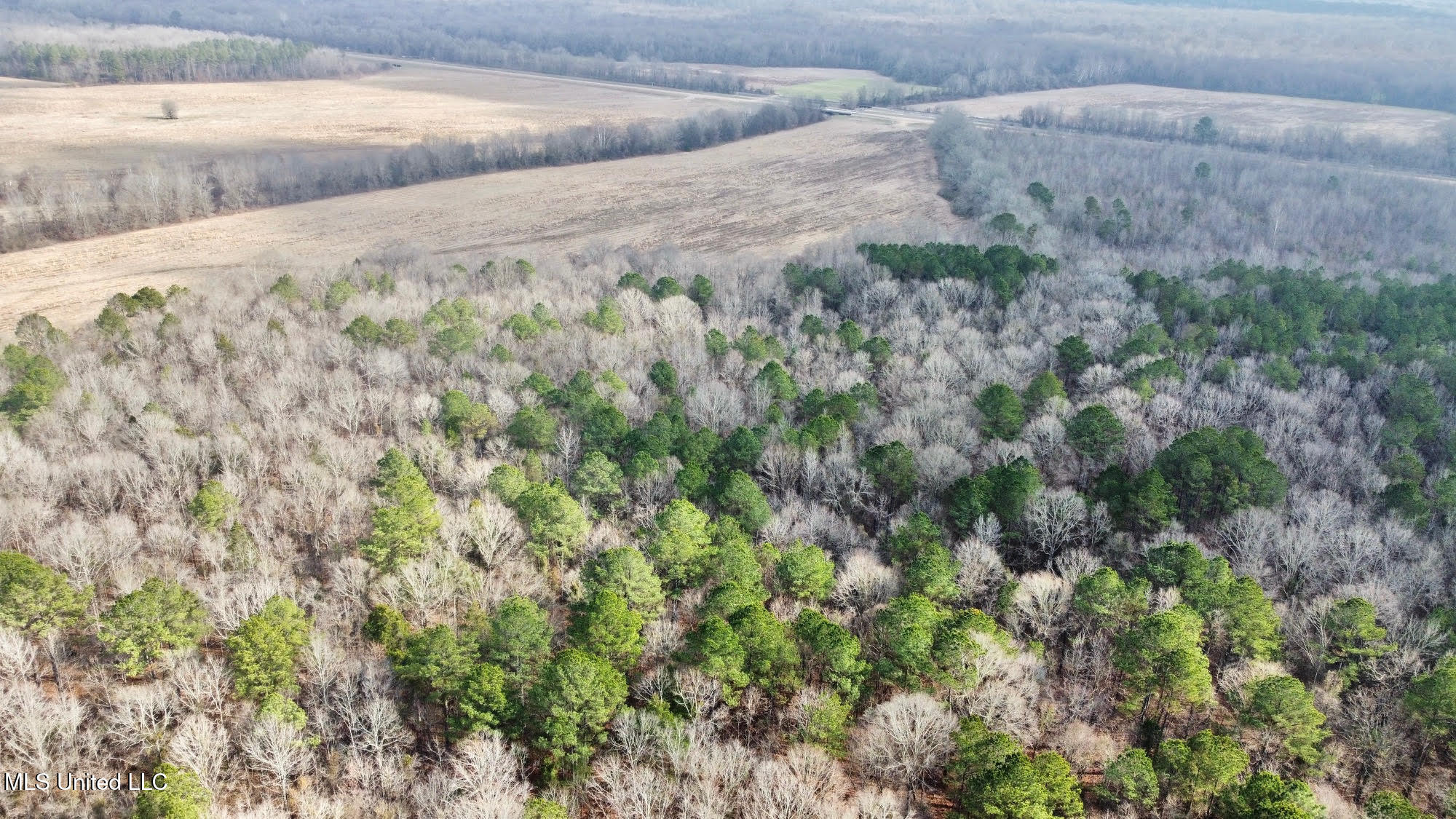 0 Wade Road West, MS 39192 - Photo 76 of 114 76