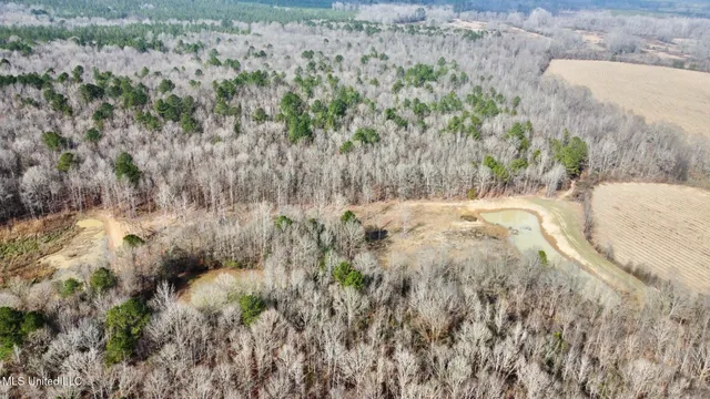 $1,750,000 | 0 Wade Road, West, MS 39192