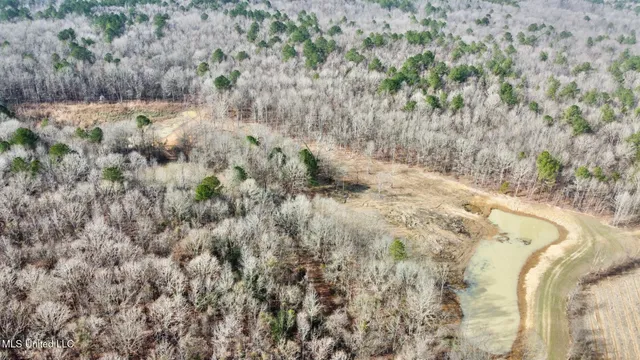 $1,750,000 | 0 Wade Road, West, MS 39192