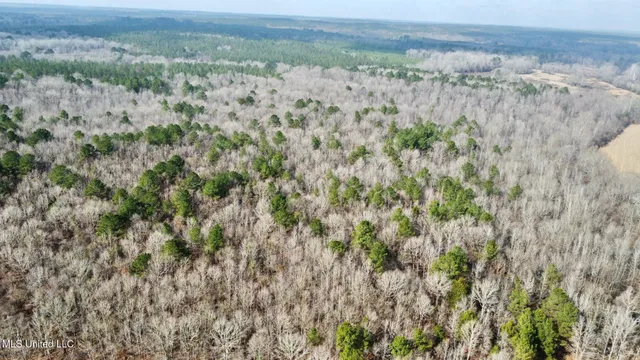 $1,750,000 | 0 Wade Road, West, MS 39192