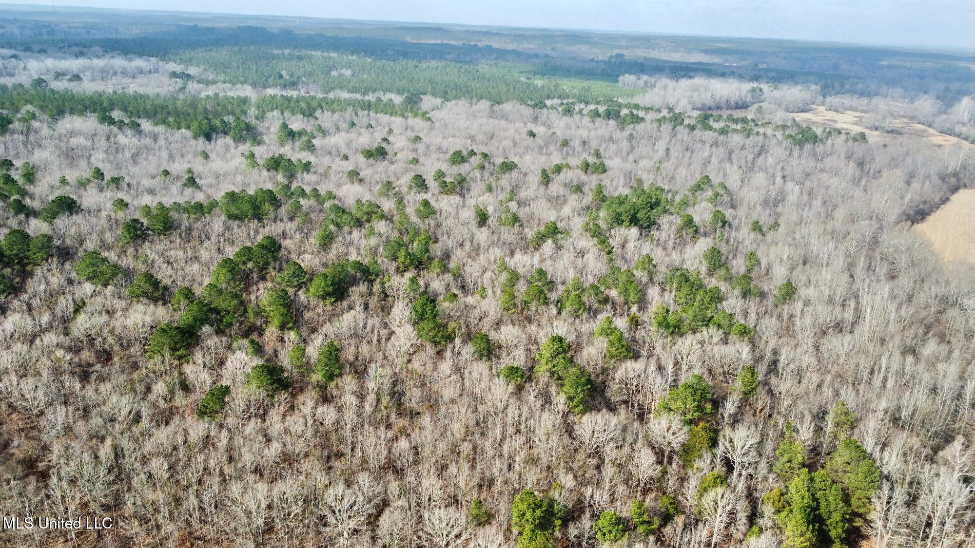 0 Wade Road West, MS 39192 - Photo 79 of 114 79