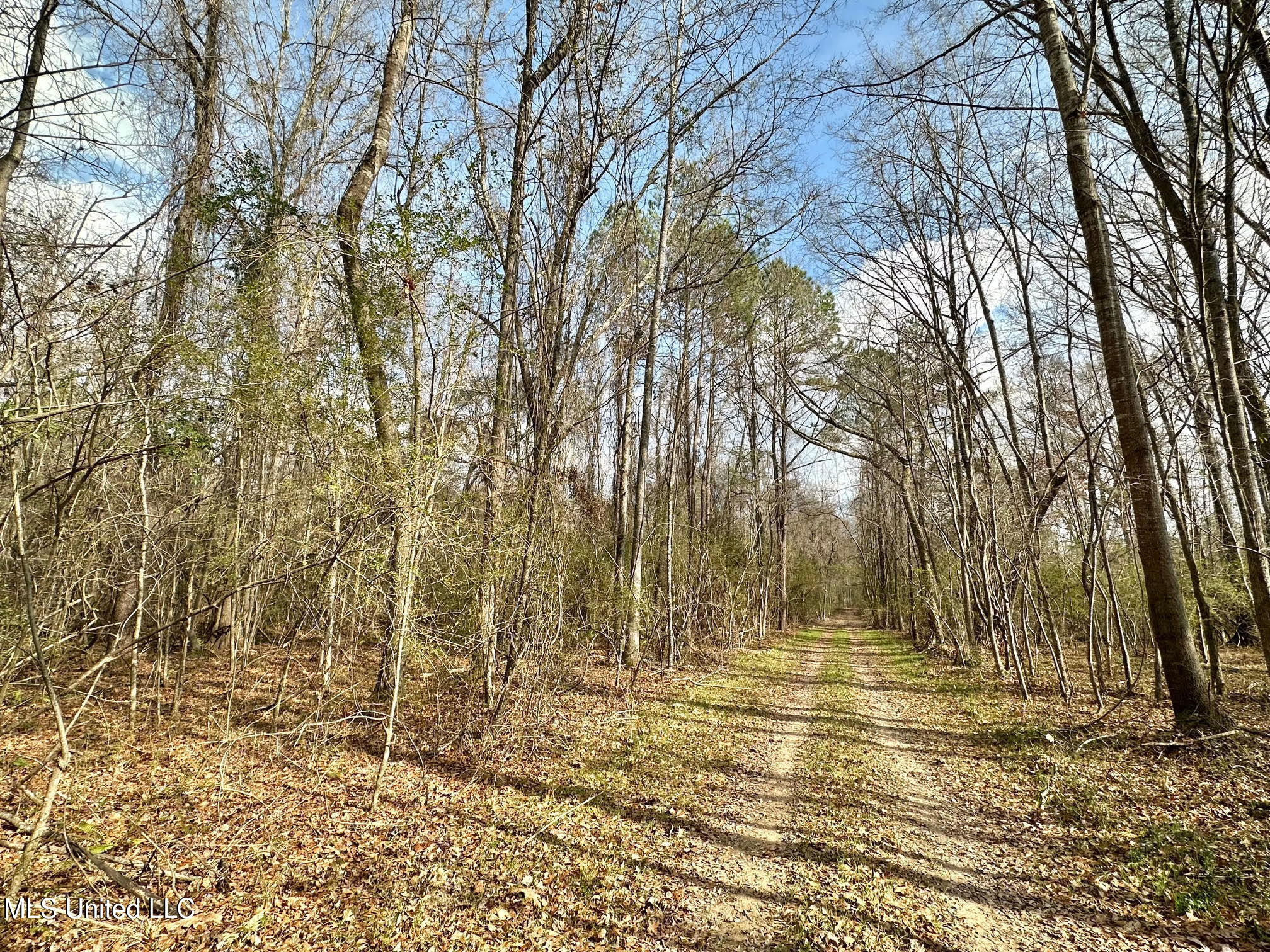 0 Wade Road West, MS 39192 - Photo 83 of 114 83