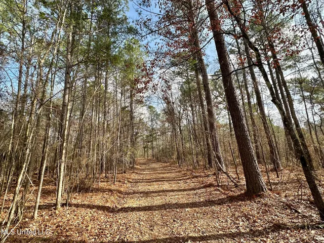 $1,750,000 | 0 Wade Road, West, MS 39192