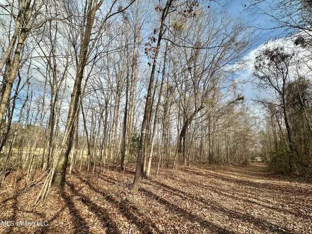 $1,750,000 | 0 Wade Road, West, MS 39192