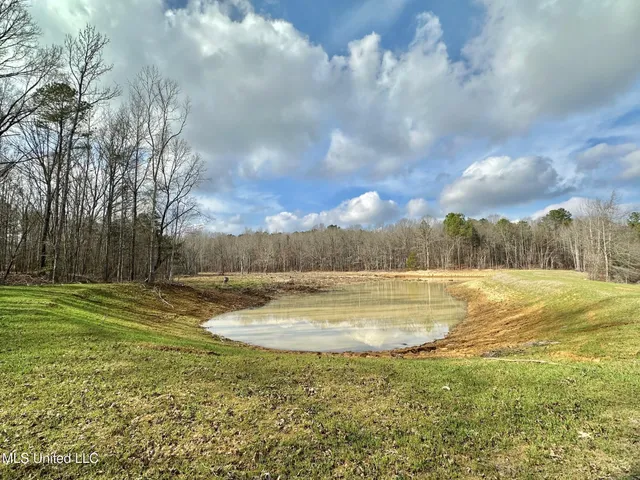 $1,750,000 | 0 Wade Road, West, MS 39192