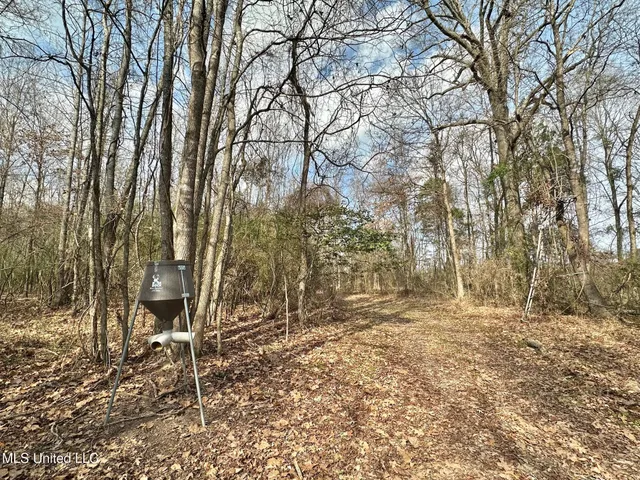 $1,750,000 | 0 Wade Road, West, MS 39192