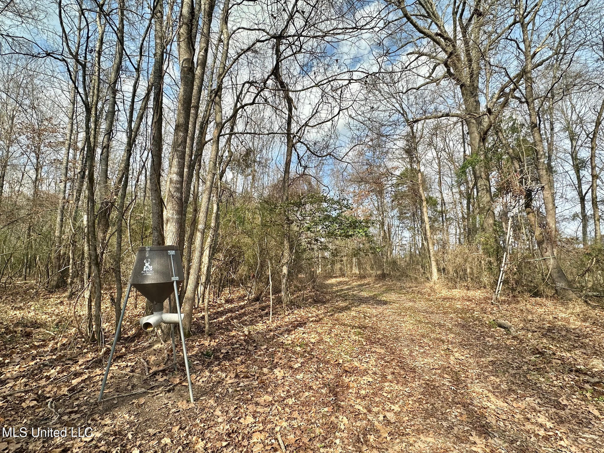 0 Wade Road West, MS 39192 - Photo 90 of 114 90