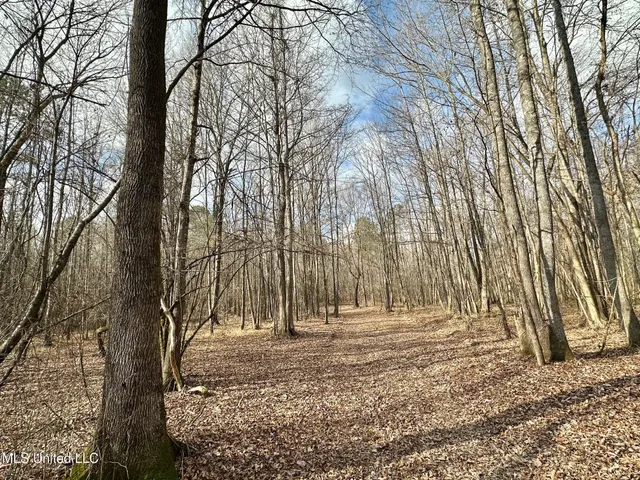 $1,750,000 | 0 Wade Road, West, MS 39192