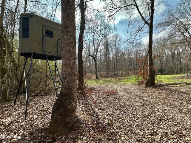 $1,750,000 | 0 Wade Road, West, MS 39192