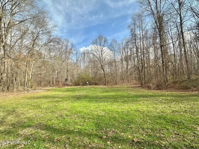 $1,750,000 | 0 Wade Road, West, MS 39192