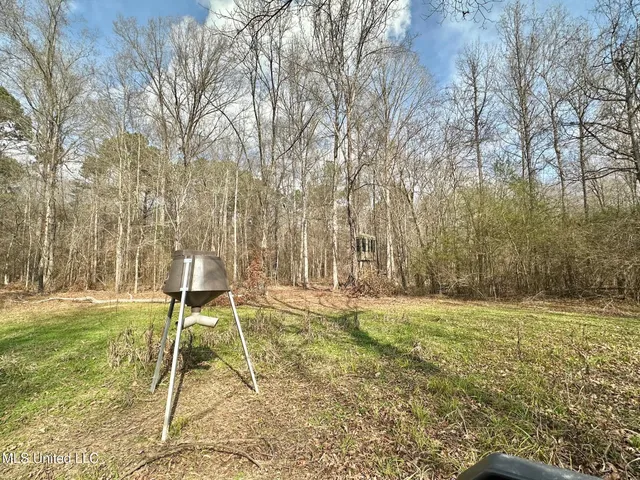 $1,750,000 | 0 Wade Road, West, MS 39192