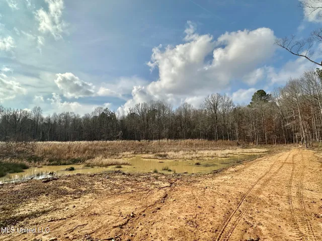 $1,750,000 | 0 Wade Road, West, MS 39192