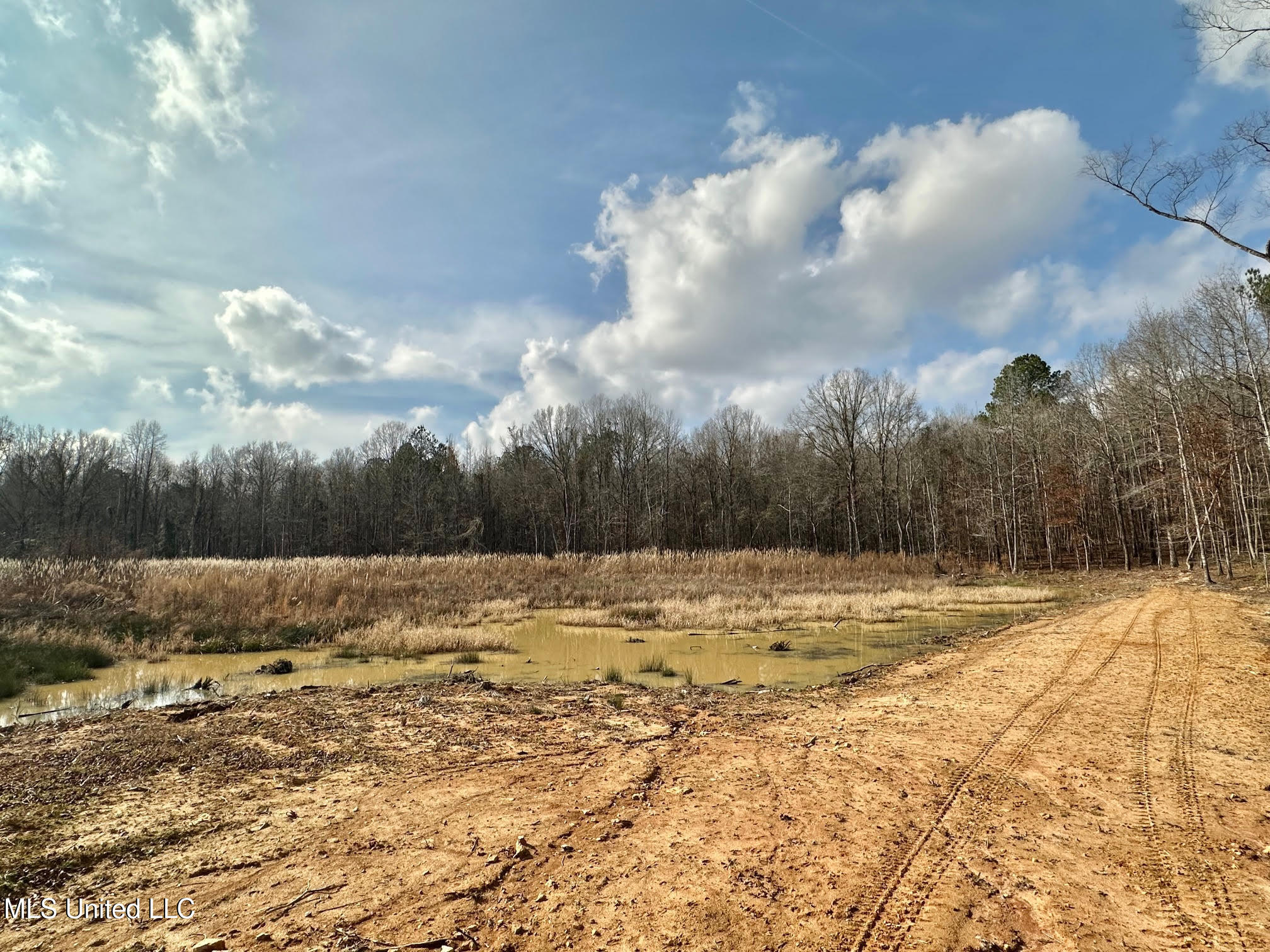 0 Wade Road West, MS 39192 - Photo 95 of 114 95