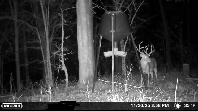 $1,750,000 | 0 Wade Road, West, MS 39192