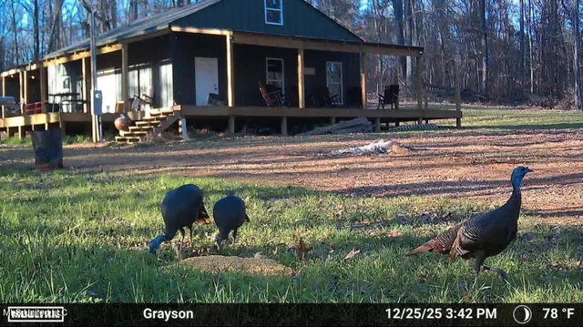 $1,750,000 | 0 Wade Road, West, MS 39192