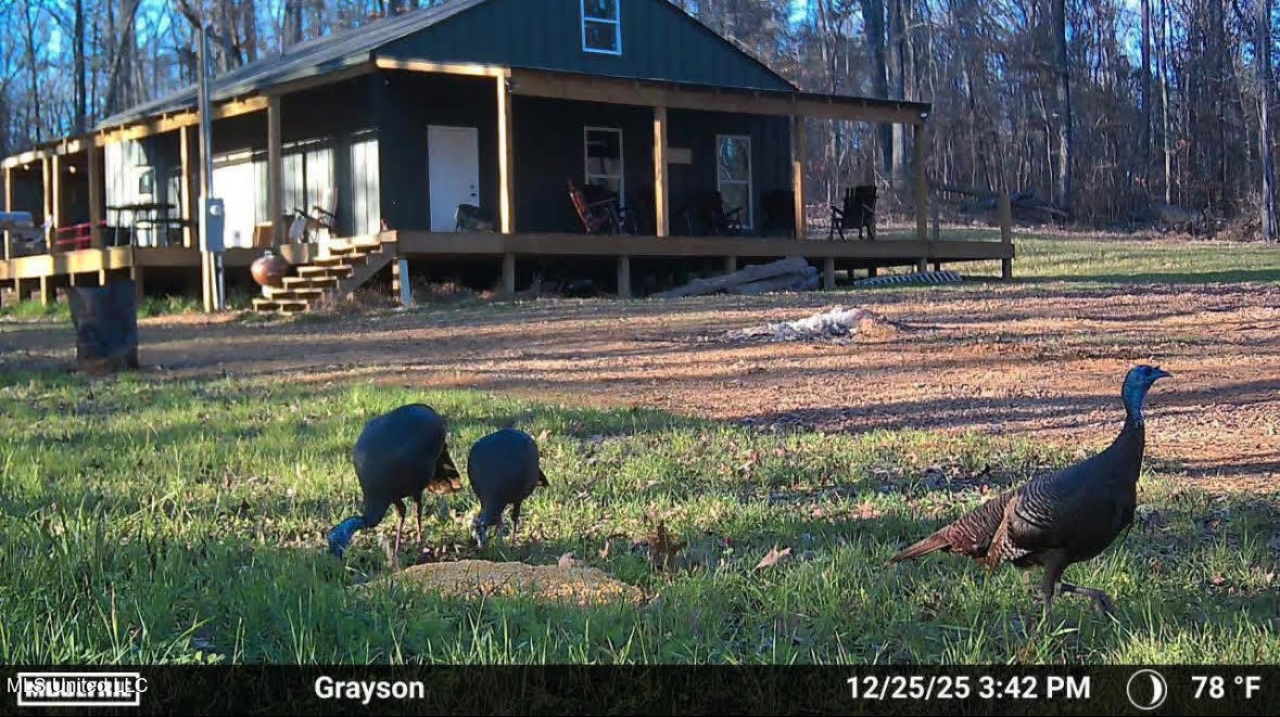 0 Wade Road West, MS 39192 - Photo 99 of 114 99