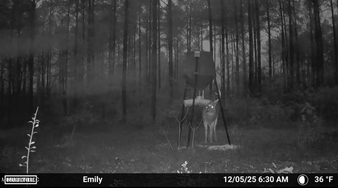 0 Wade Road West, MS 39192 - Photo 100 of 114 100