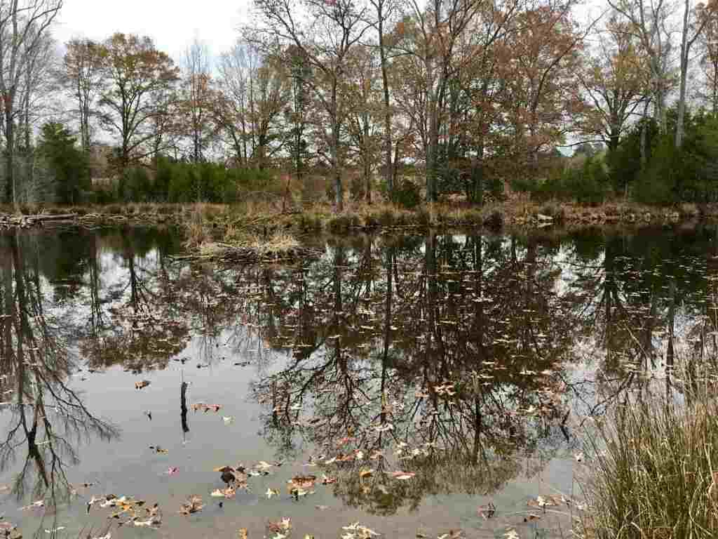 3820 Keowee Road Honea Path, SC 29654 - Photo 1 of 20