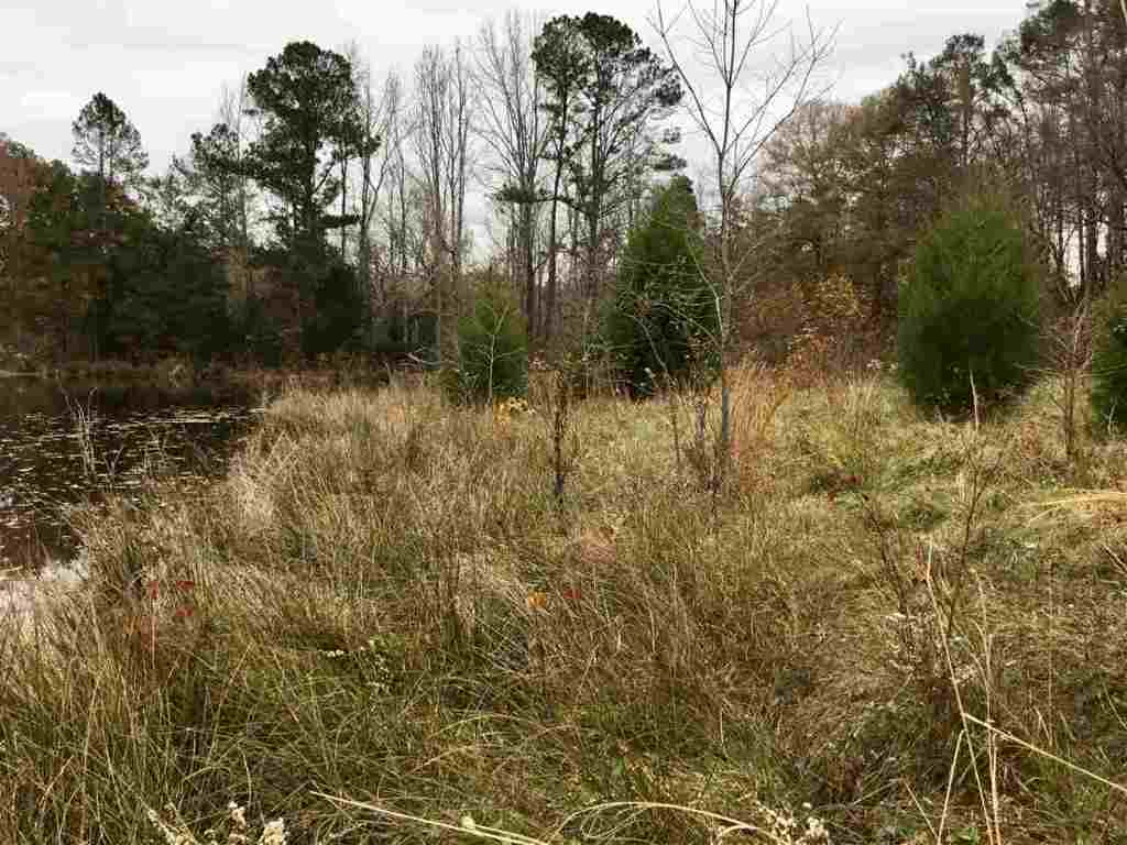 3820 Keowee Road Honea Path, SC 29654 - Photo 4 of 20