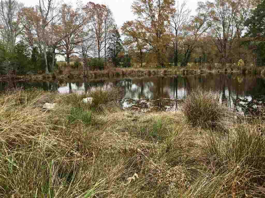3820 Keowee Road Honea Path, SC 29654 - Photo 6 of 20