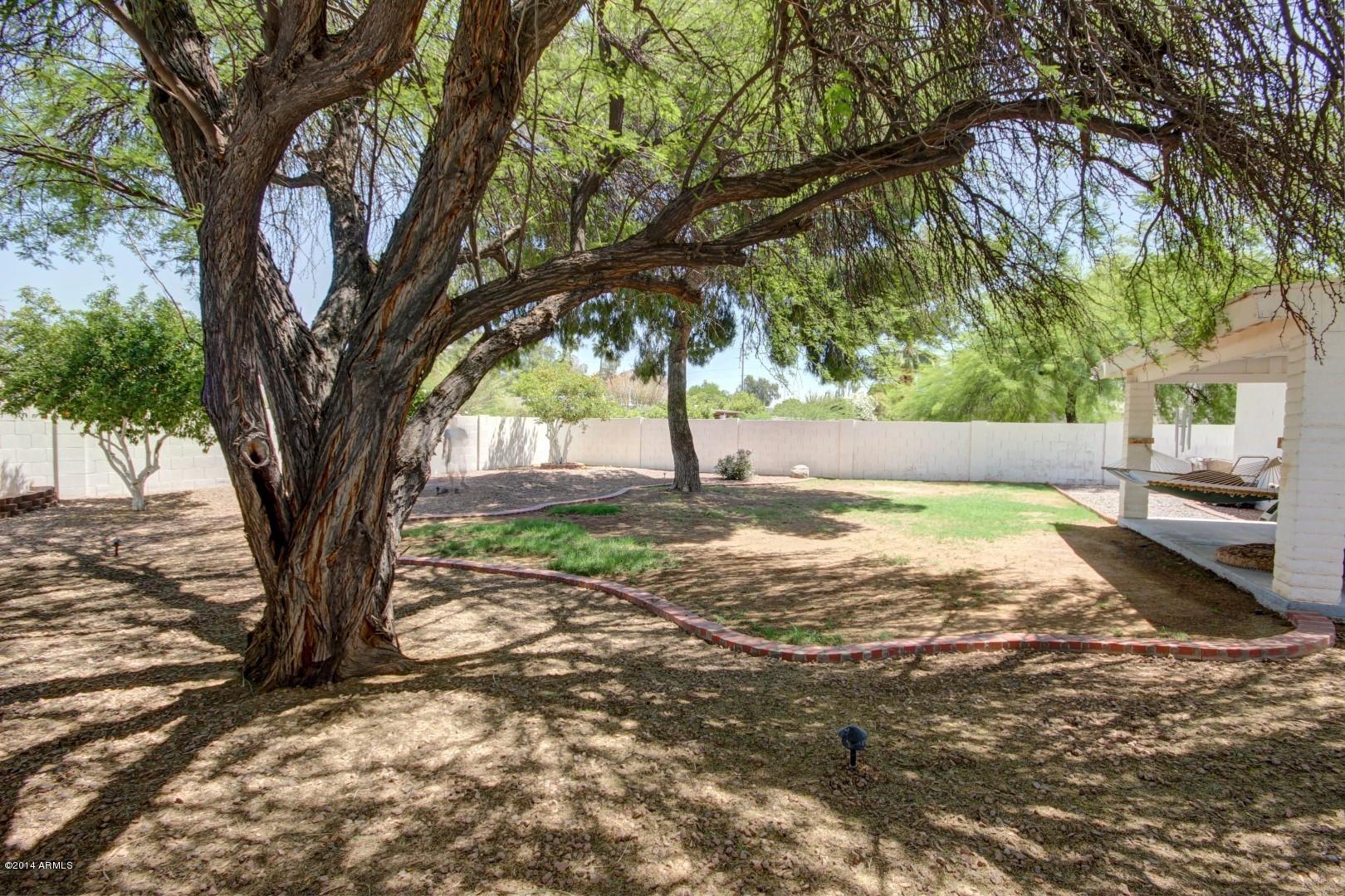 618 East Calavar Road Phoenix, AZ 85022 - Photo 16 of 24 Calavar (27)