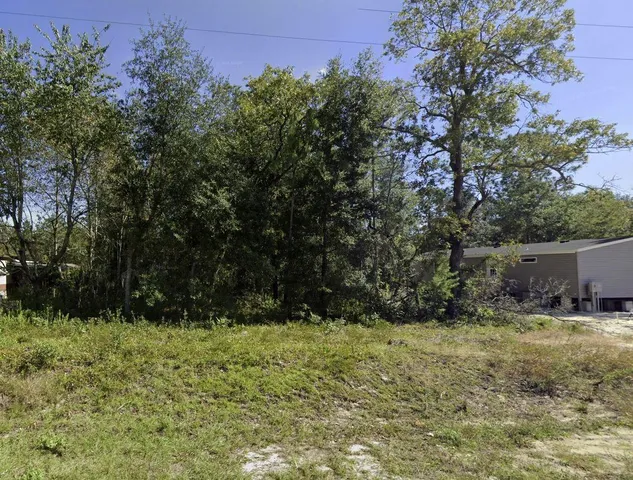 a view of backyard with green space