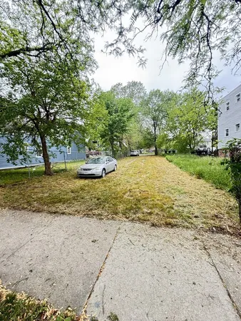 a view of a dirt yard with a large tree