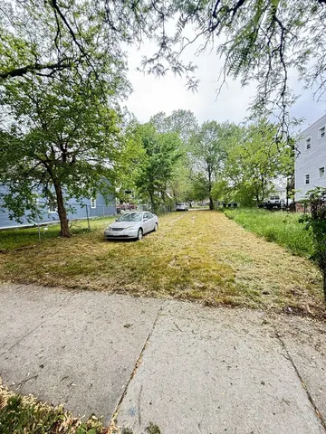 a view of a dirt yard with a large tree