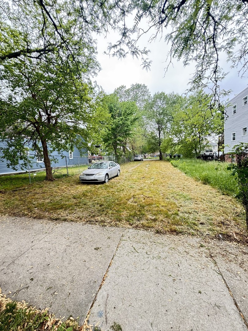 a view of a dirt yard with a large tree