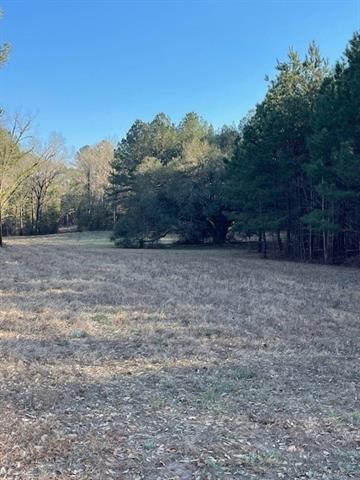 1112 Melder Road Glenmora, LA 71433 - Photo 6 of 16