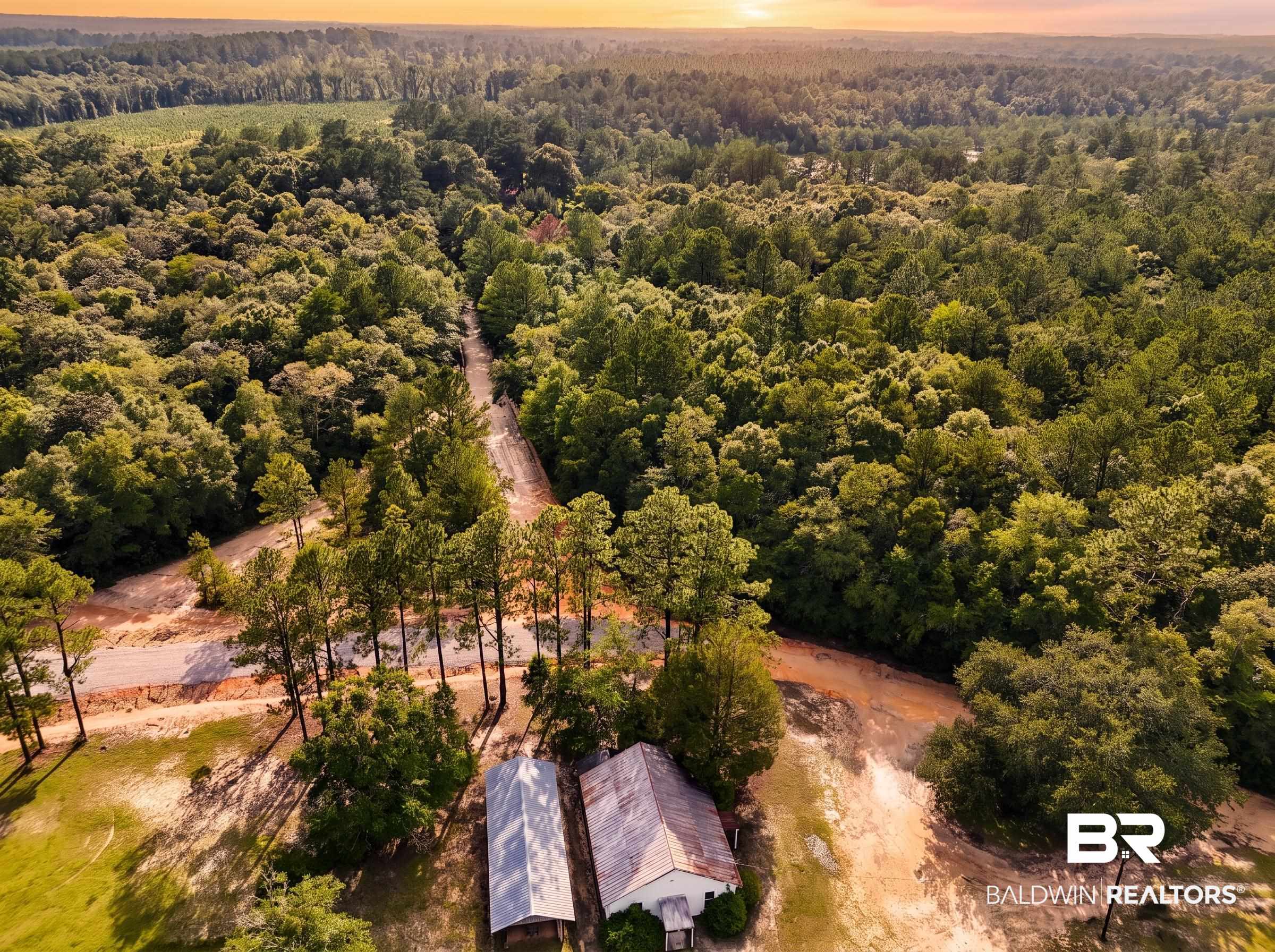 0 Doyle Morgan Road Samson, AL 36477 - Photo 17 of 22