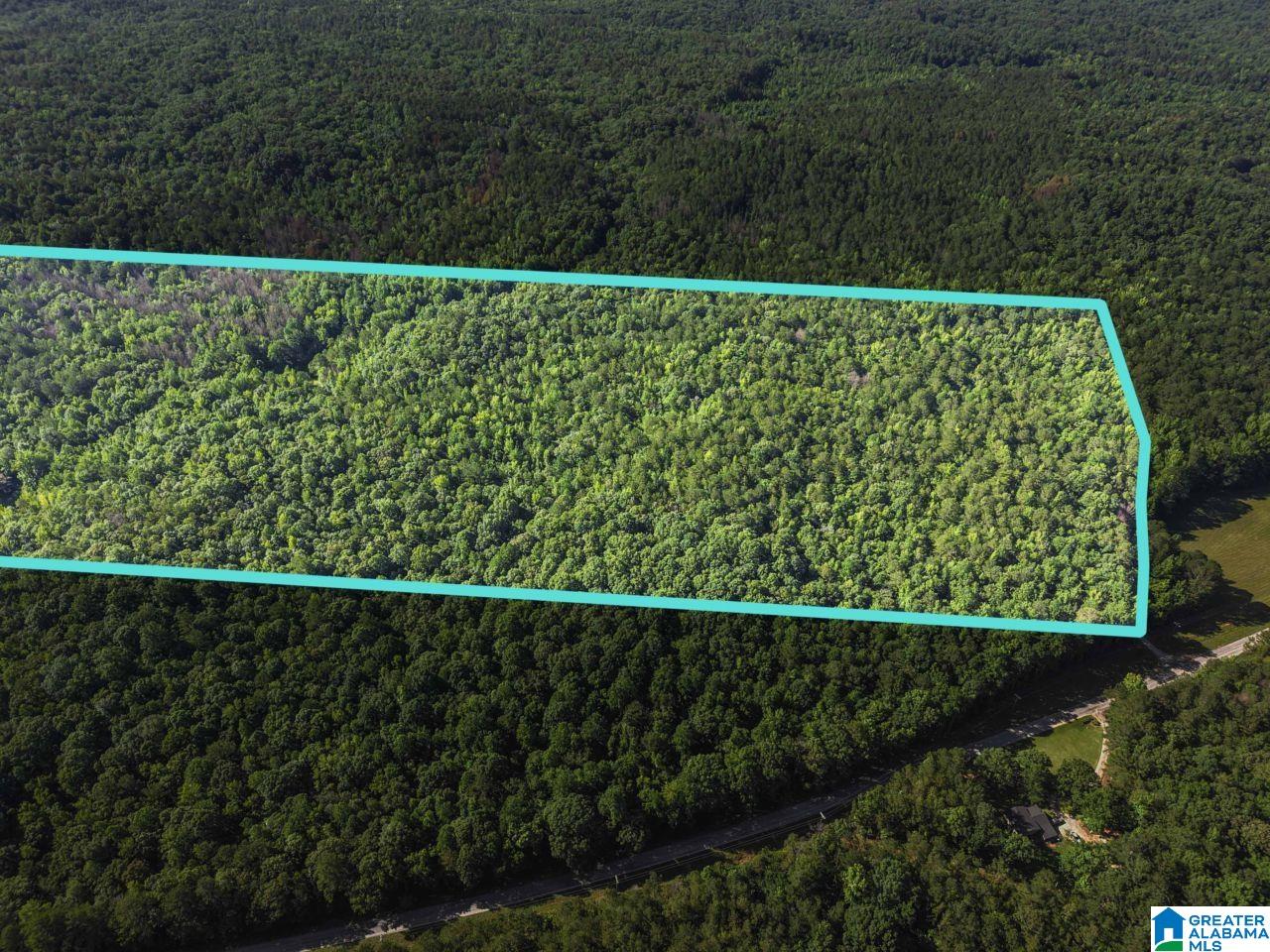 0 Berney Station Road Talladega, AL 35160 - Photo 16 of 32 Gallery Image 16
