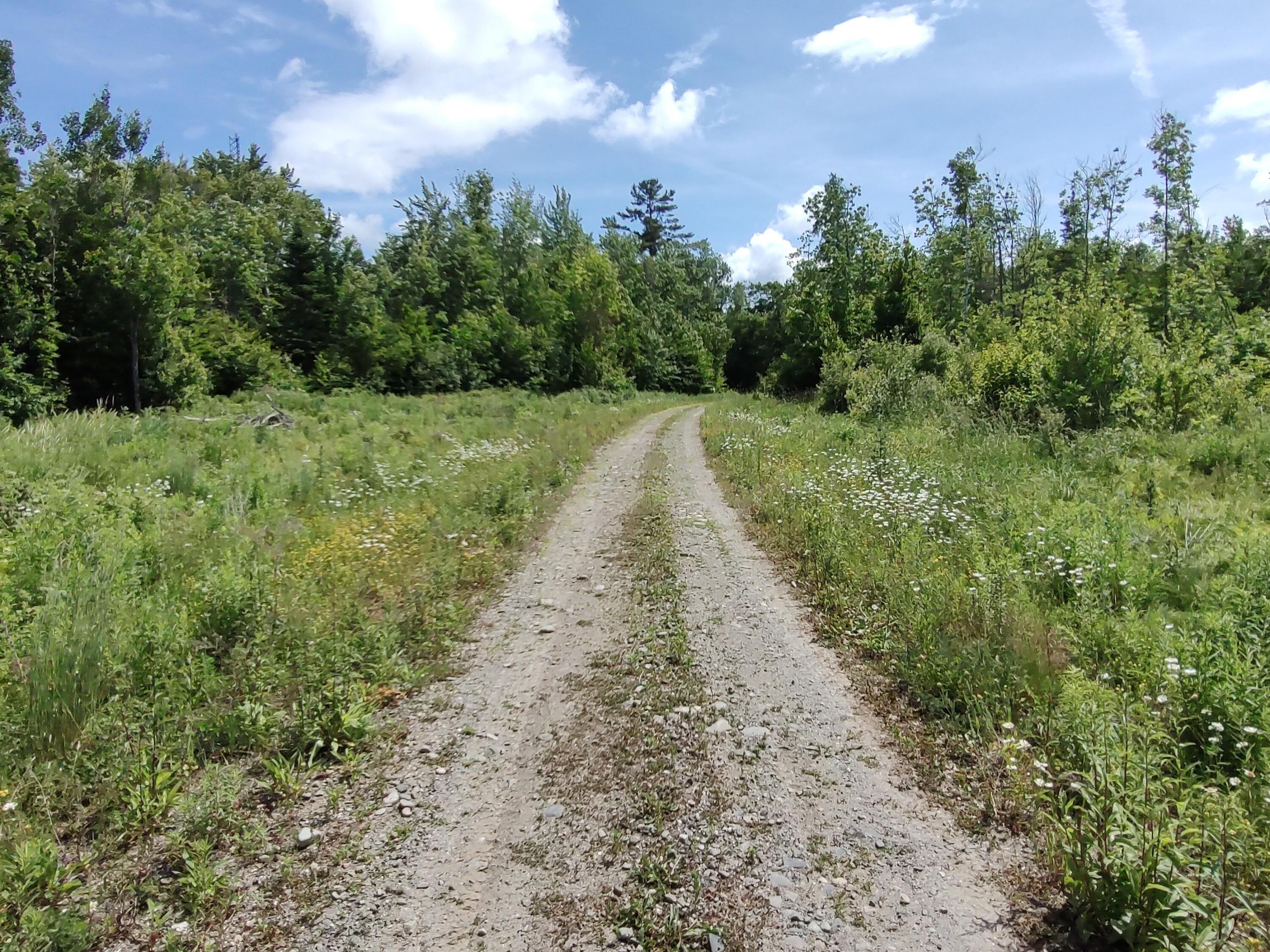 0 Huff Hill Road West Hartland, ME 04943 - Photo 4 of 5 23025Sa1003_4