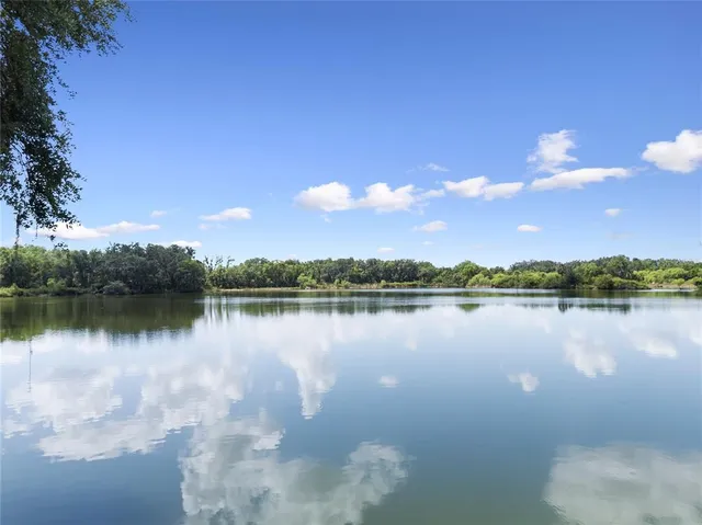a view of a lake in middle of forest