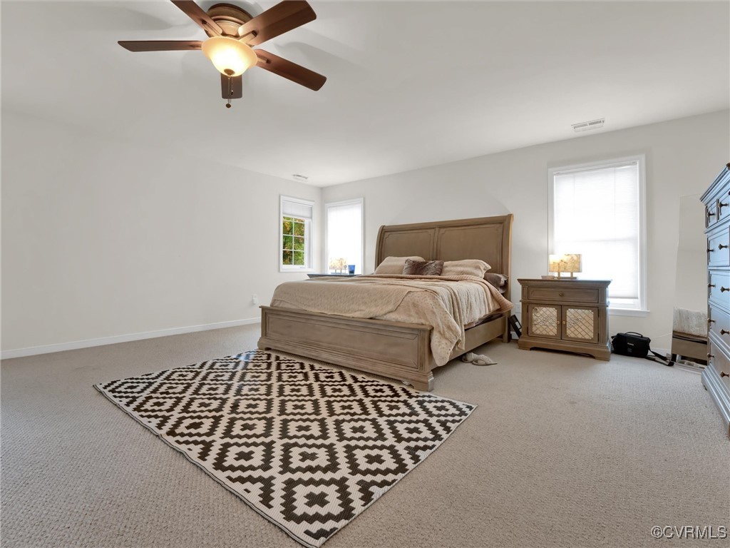 5512 Garden Grove Road Chesterfield, VA 23832 - Photo 24 of 48 Bedroom featuring light carpet, multiple windows,