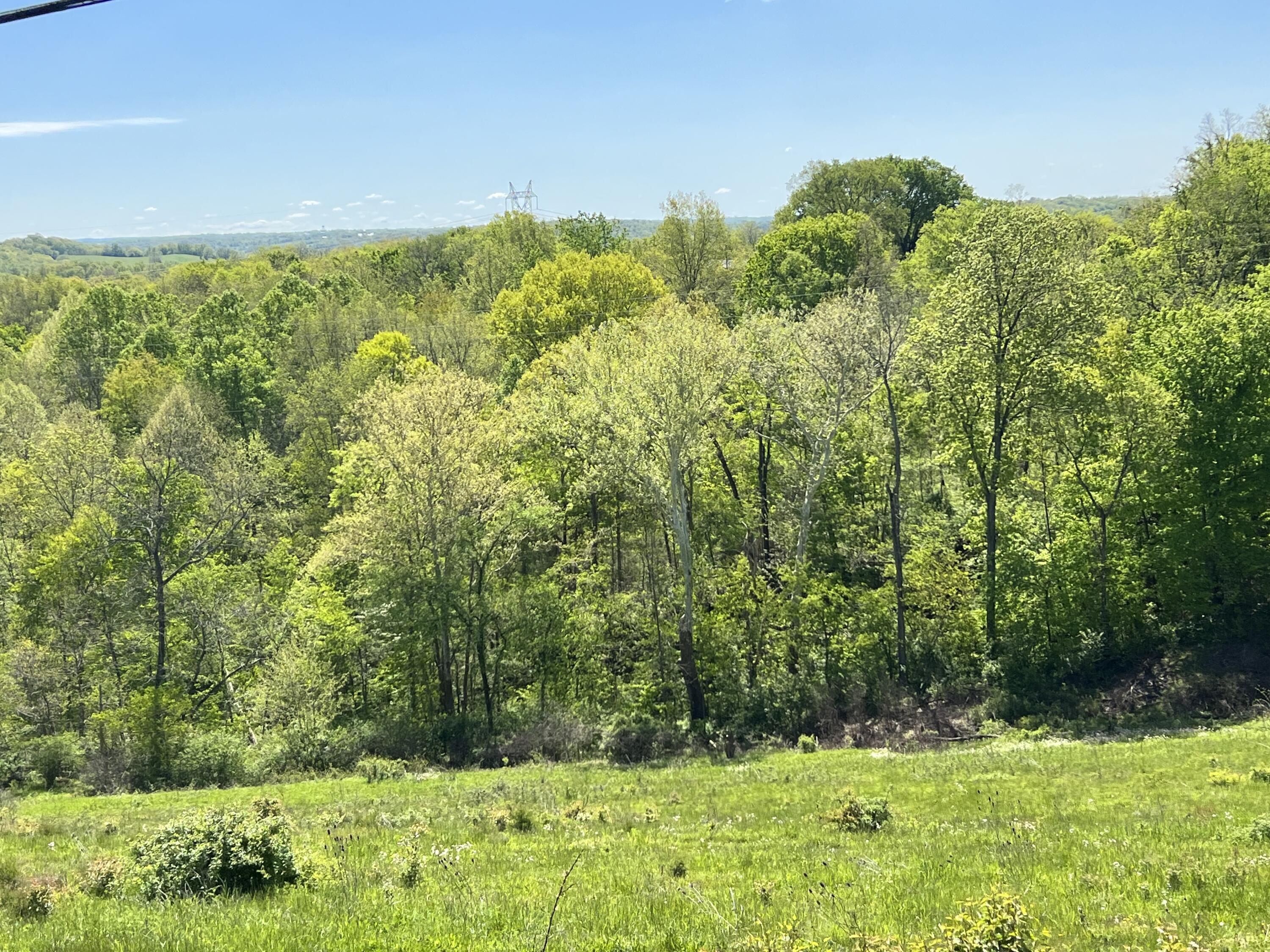 10818 Elizaville Road Ewing, KY 41039 - Photo 10 of 56 B19DC52C-39B9-4BFA-A4AE-DF8EE59DDDDA
