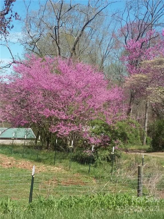 4747 Union Baptist Road Lenoir, NC 28645 - Photo 45 of 48 Gallery Image 45
