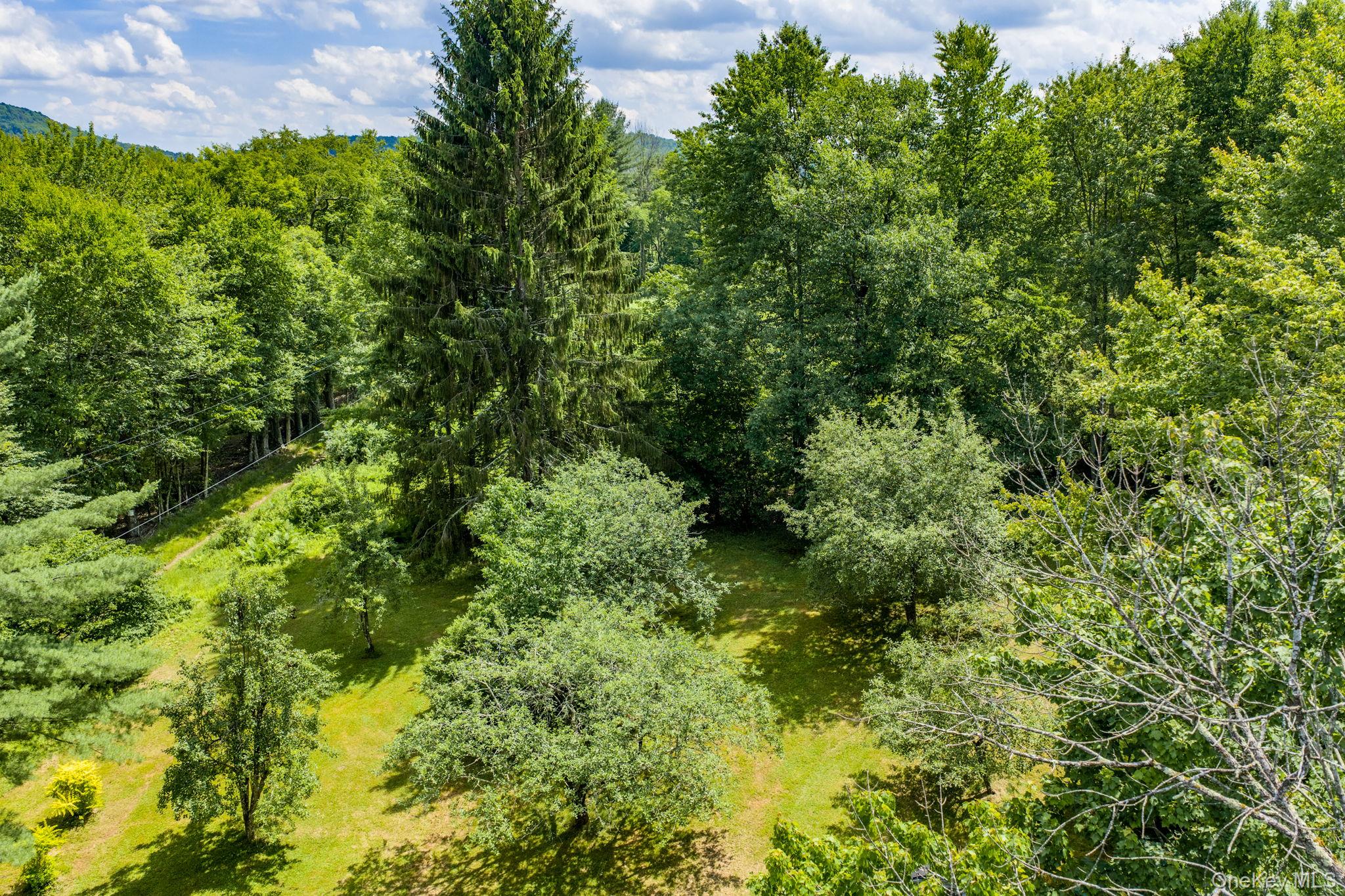 10 Hoffman Road Hankins, NY 12741 - Photo 45 of 46