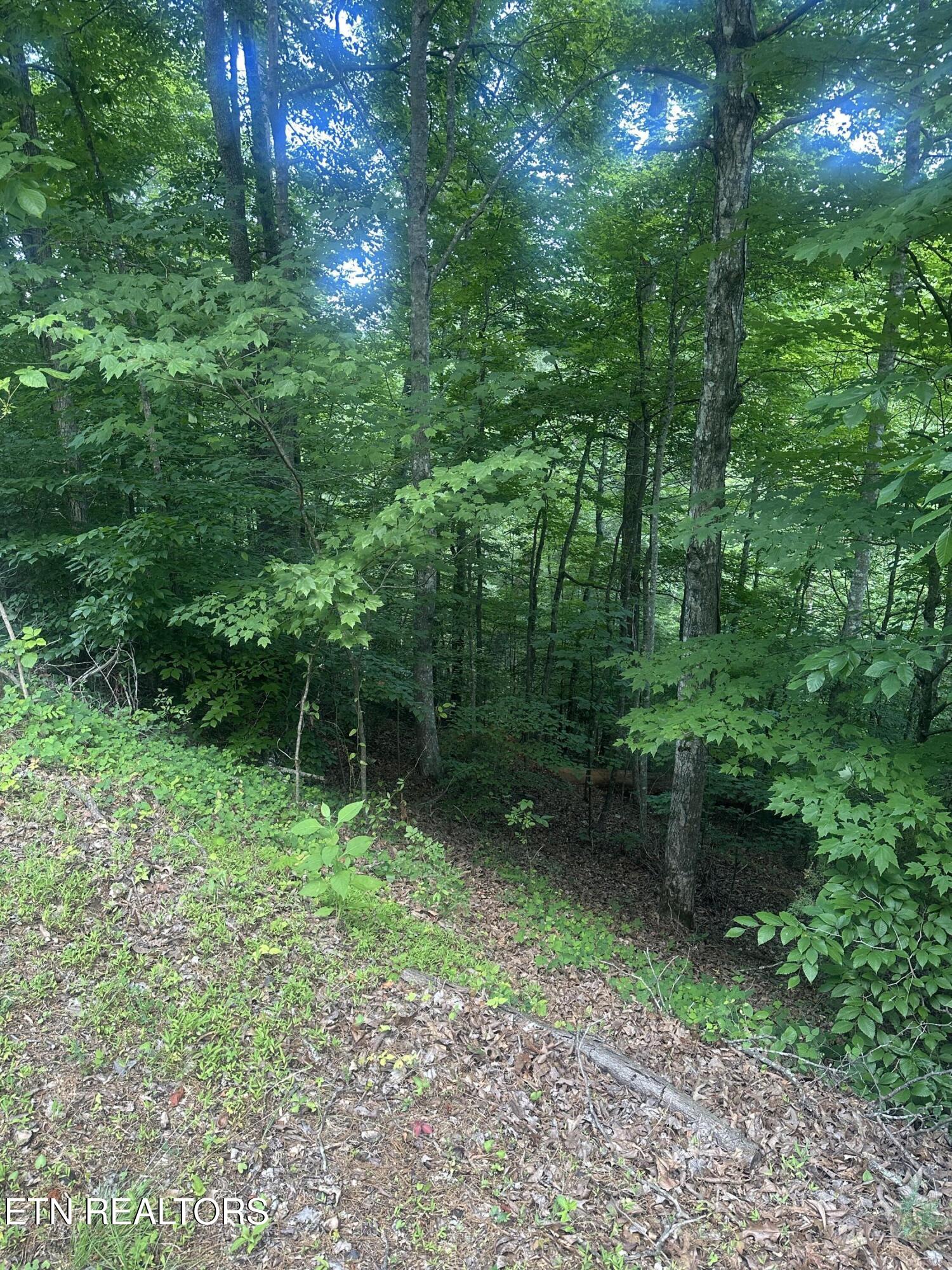 Hiwassee View Jacksboro, TN 37757 - Photo 14 of 16 jacksboro 16