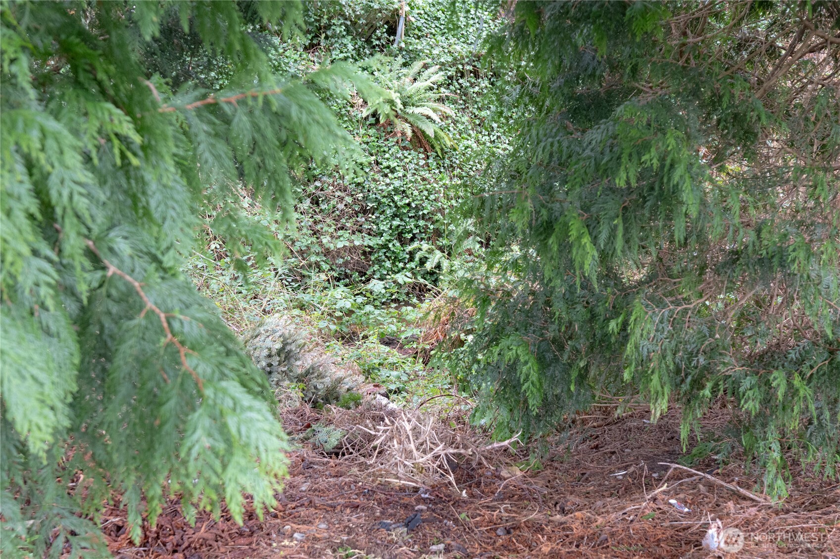 4939 Forsberg Road Blaine, WA 98230 - Photo 33 of 38