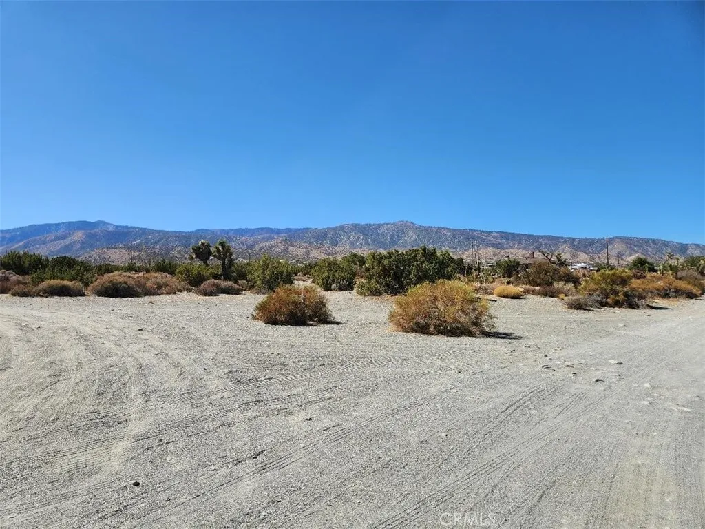 12 Cambria Road Pinon Hills, CA 92372 - Photo 1 of 1 Gallery Image 1