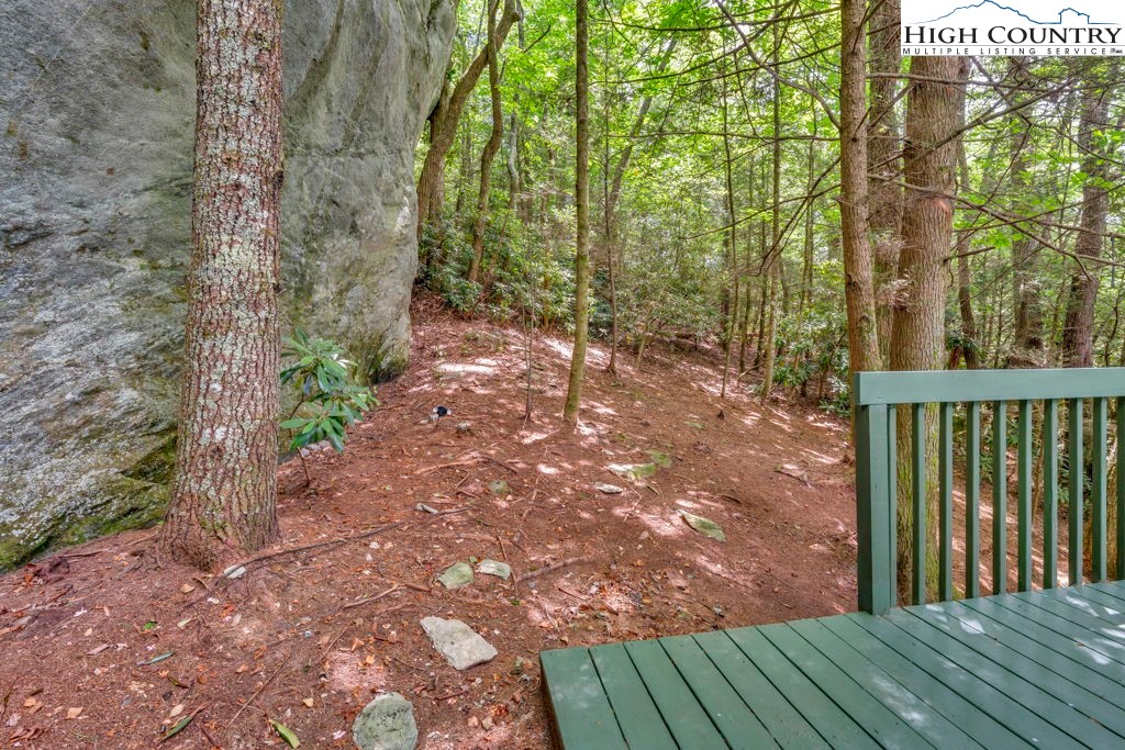 201-203 Laurel Boone, NC 28607 - Photo 22 of 45 Gallery Image 22