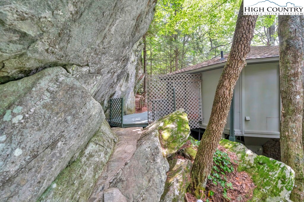 201-203 Laurel Boone, NC 28607 - Photo 44 of 45 Gallery Image 44