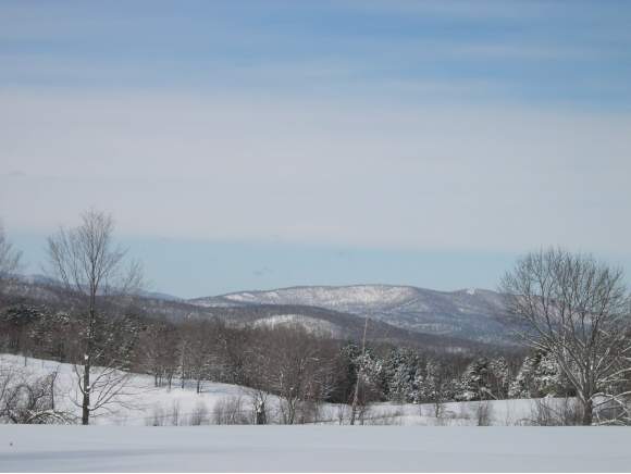 Francis Road Bethel, VT 05031 - Photo 1 of 1