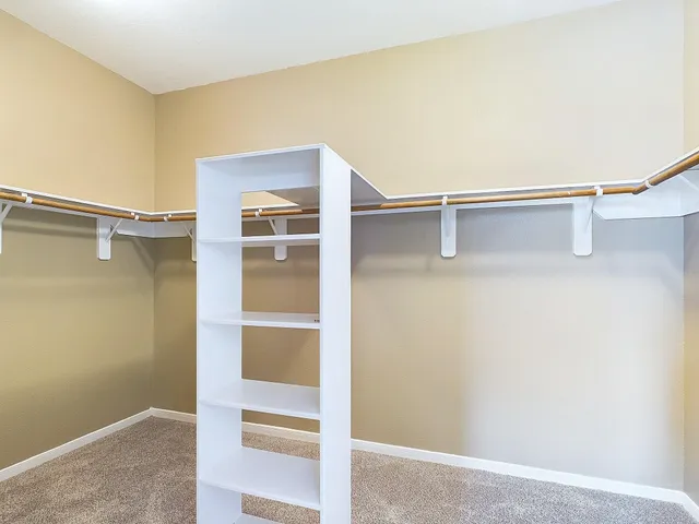 a view of walk in closet with empty racks