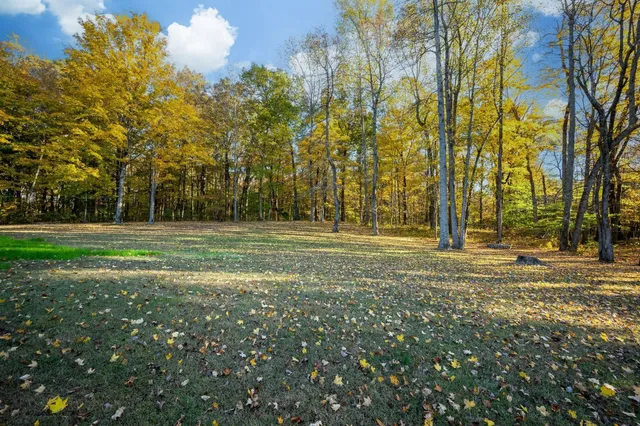 a view of a field with trees