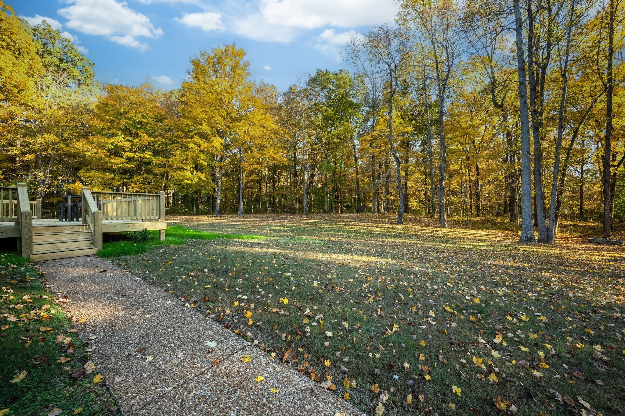 936 Promise Land Road Charlotte, TN 37036 - Photo 42 of 53